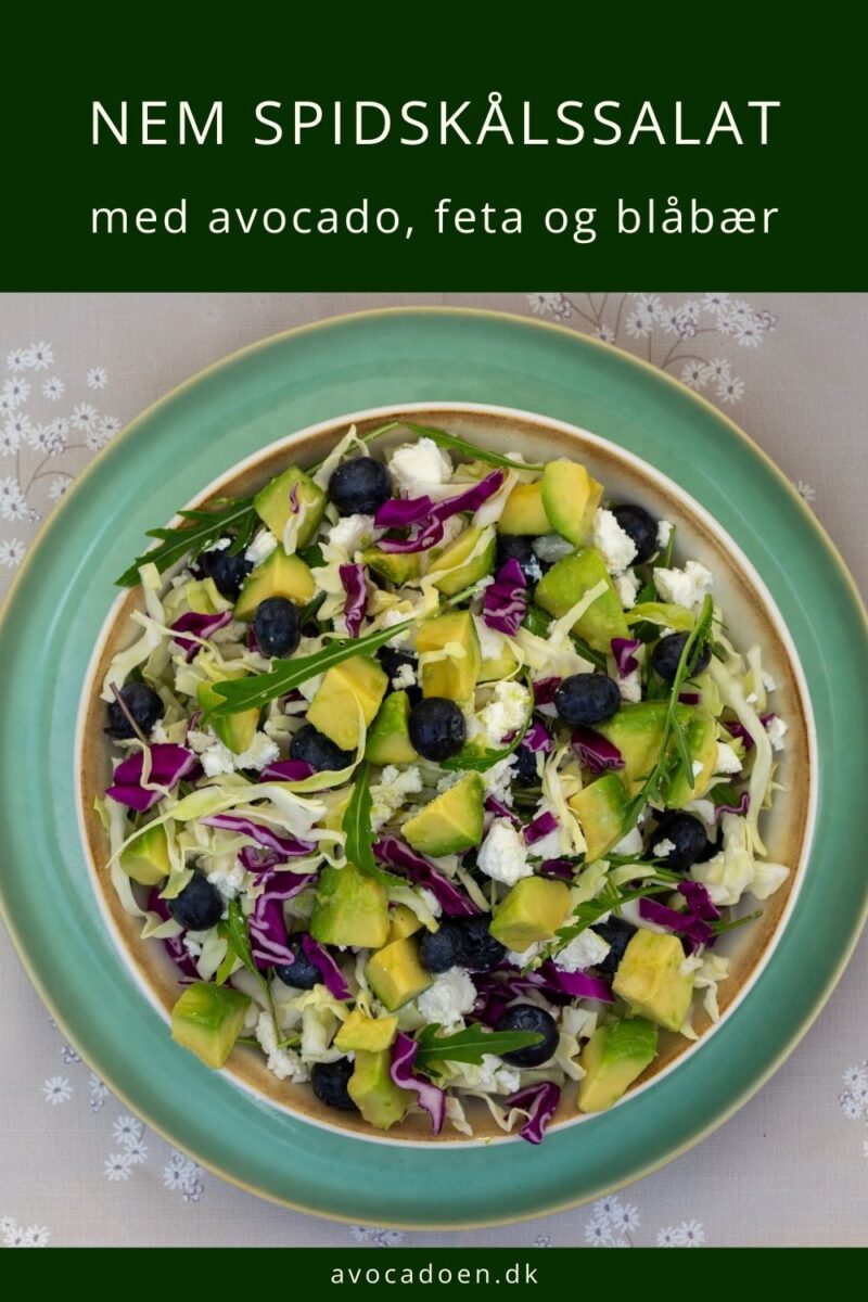 Spidskålssalat med avocado, feta, rucola og blåbær. 