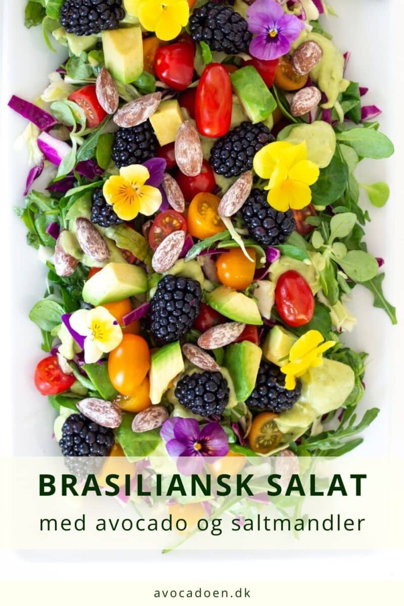 Brasiliansk salat med avocado, tomater, brombær og salatmandler.