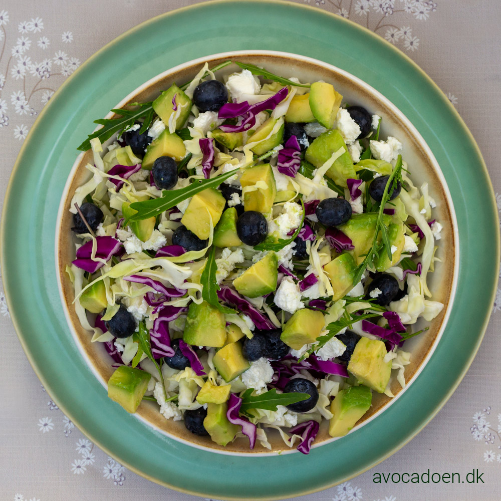 Spidskålssalat med avocado, blåbær, feta og rucola